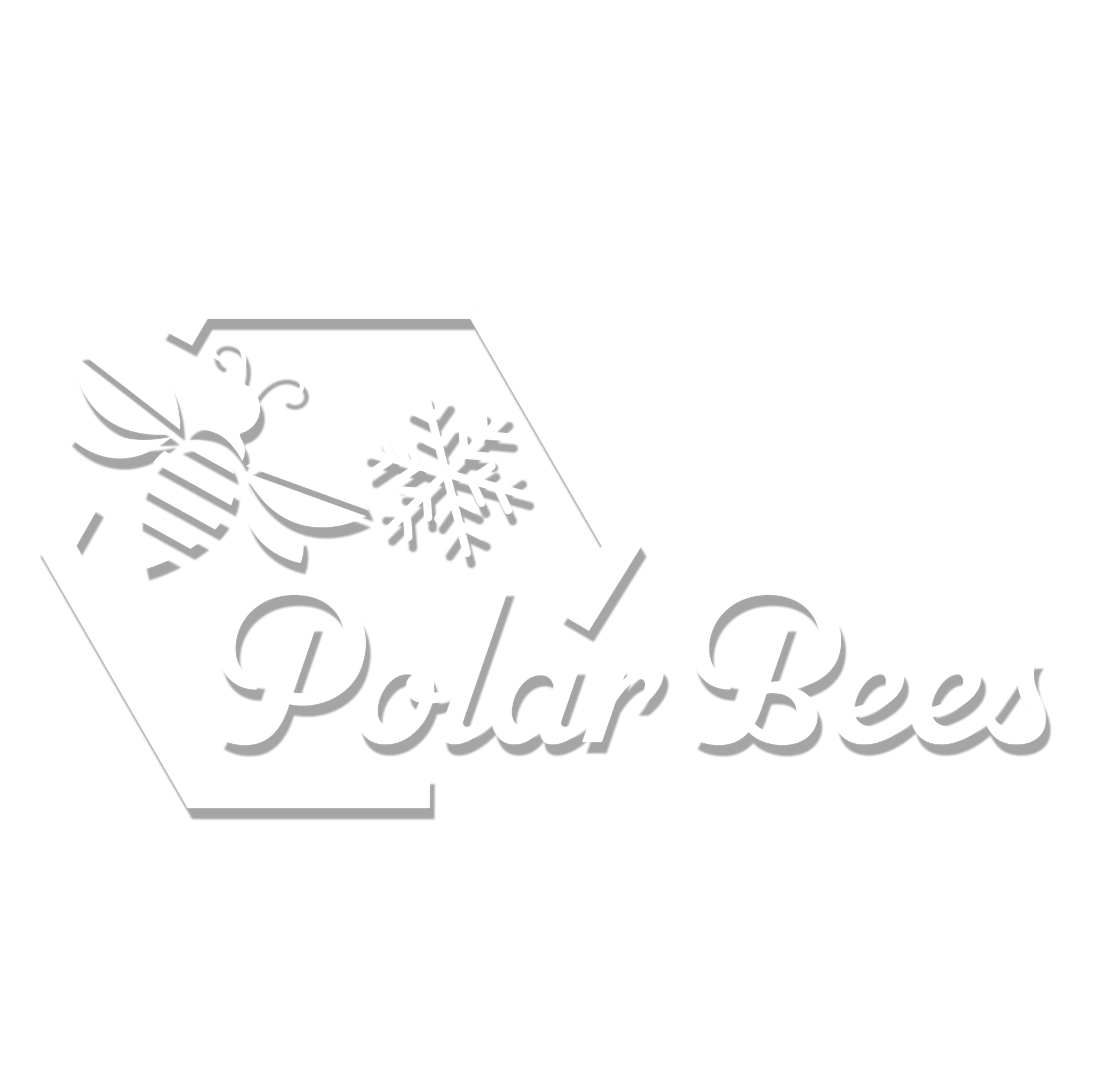 Polar Bees Auto Detailing | Top Rated Calgary