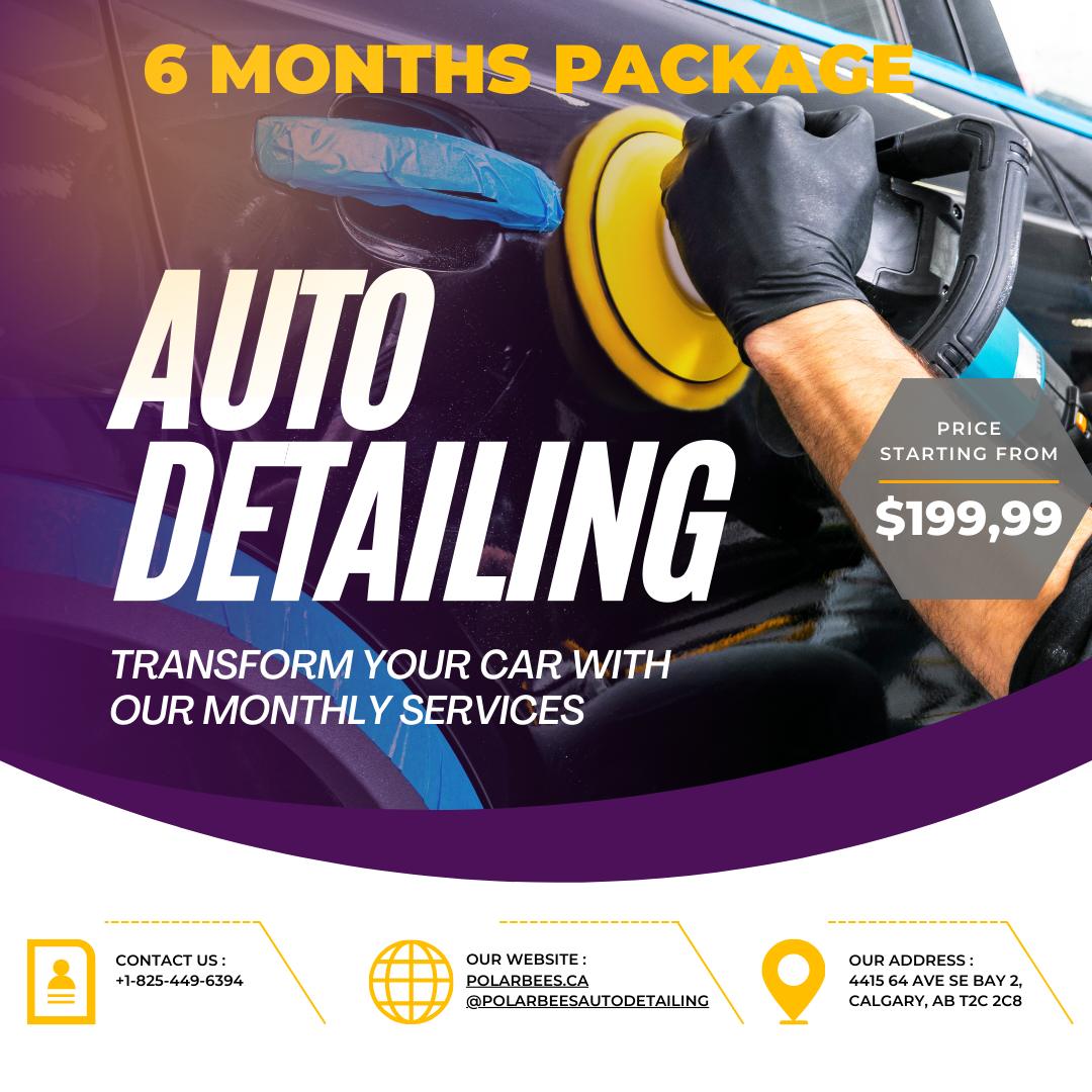 Vibrant promotional image for a 6-Month Auto Detailing Package at $199.99, showcasing icons for detailing services.